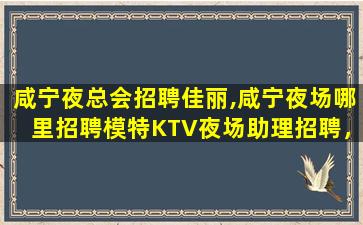 珠海夜场招聘